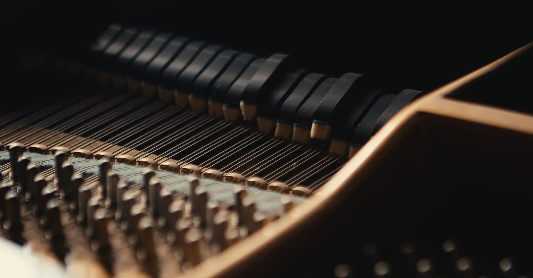 El interior de un piano de cola en penumbra: los apagadores sobre las cuerdas y, al frente, las clavijas de afinación.